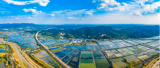 南京市浦口区星甸街道后圩村景色 南京市浦口区星甸街道后圩村景色